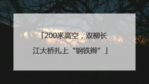 200米高空，双柳长江大桥扎上“钢铁辫”